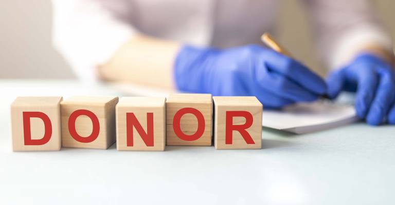Donor bloed en organen medisch concept op houten kubussen met de handen van een arts op de achtergrond